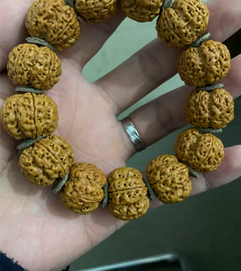 古龙树王梅花，21+密度高无尘打底 直接上...