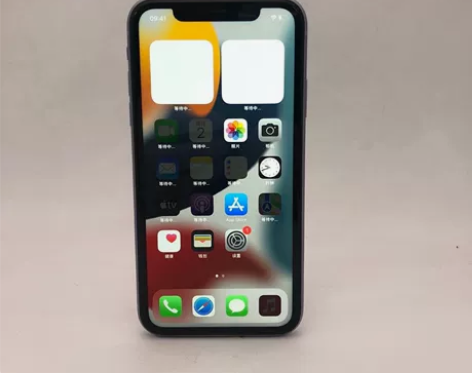 Apple/苹果 苹果 iPhone 11...