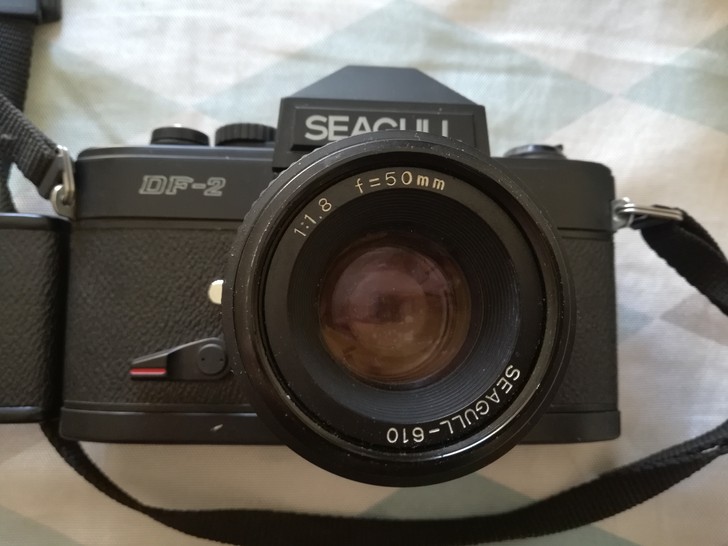 海鸥Seagull DF-2单反相机,家人...