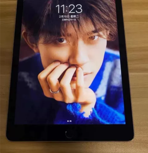 毕业着急出款mini4带笔一起出！考研、画...