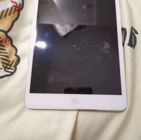 自用ipad mini1，16G 平时用来...