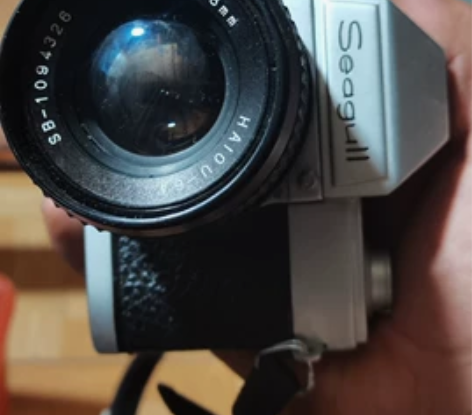 海鸥照相机，还有一个凤凰呢，220元，一个...