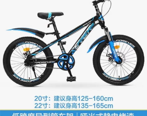 【狂欢价】2022新款上海永久牌儿童山地自...