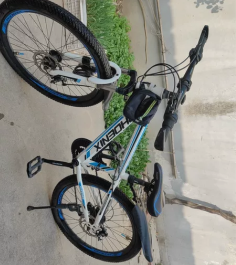 凤凰牌山地车自行车男女变速轻便代步单车青少...