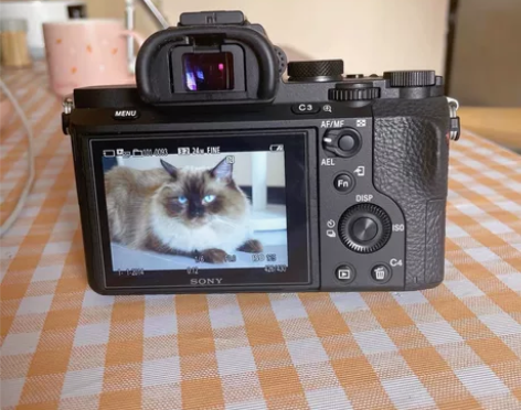 索尼a7m2机身加镜头。全画幅微单数码相机...