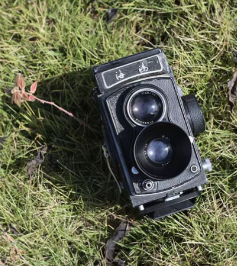 海鸥4a，已更换增亮屏饰皮反光板。 刚做大...