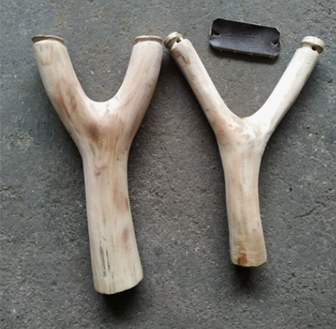 油茶树弹弓,给钱就出! 感兴趣的话点“我想...