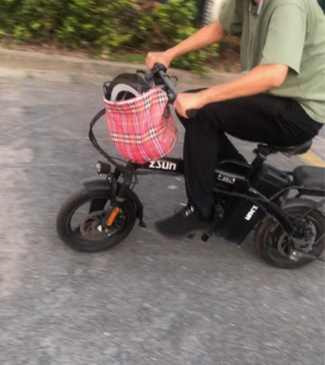 可折叠电动车。可蹬，可电，十分方便，人力电...