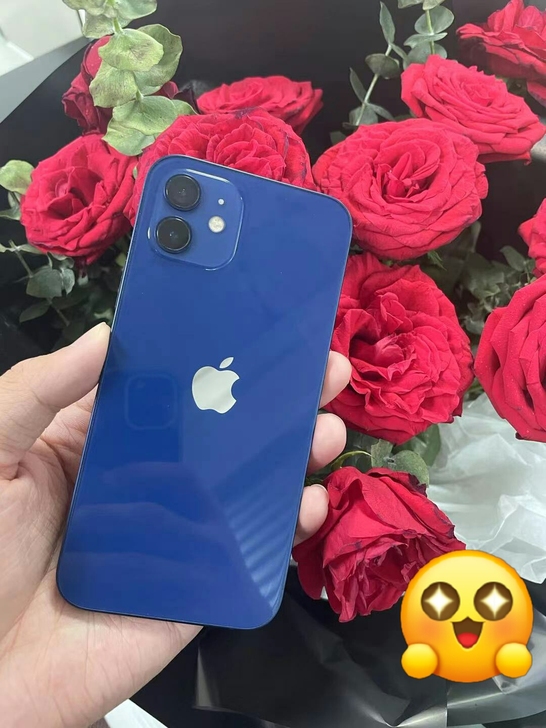 自用一手苹果iPhone 12，128G，...