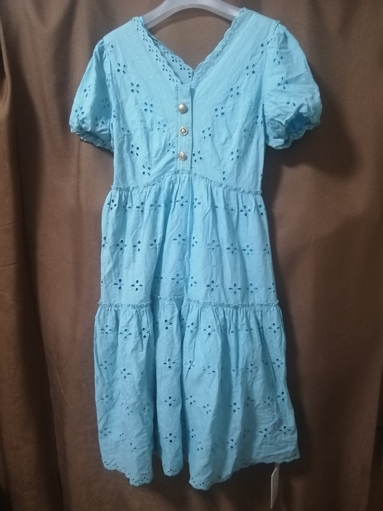 全新蓝色连衣裙，里面还有吊带里衬，全新带吊...