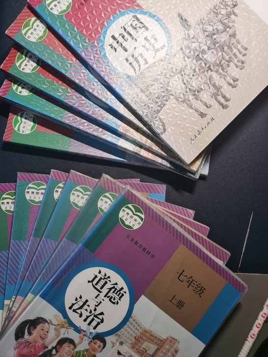 初中历史政治书，书上笔记齐全详细，外表保护...