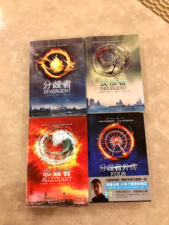 分歧者系列小说正版1-4集全套科幻冒险