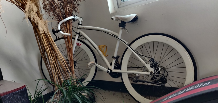 死飞，单车，很久以前买的了，很久没骑，放在...