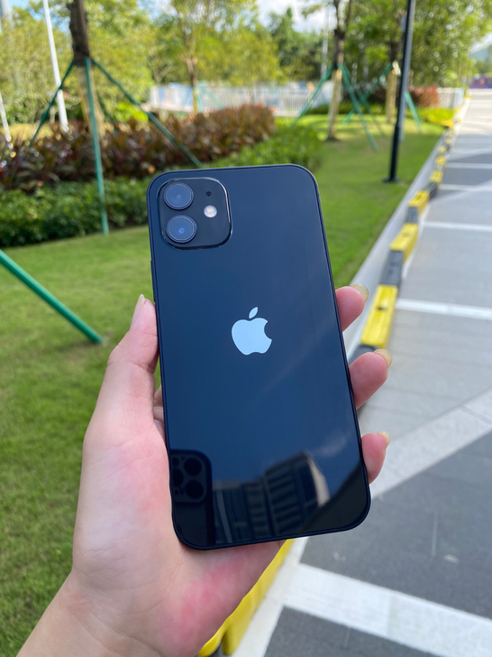 Apple 苹果12 iPhone12 走...