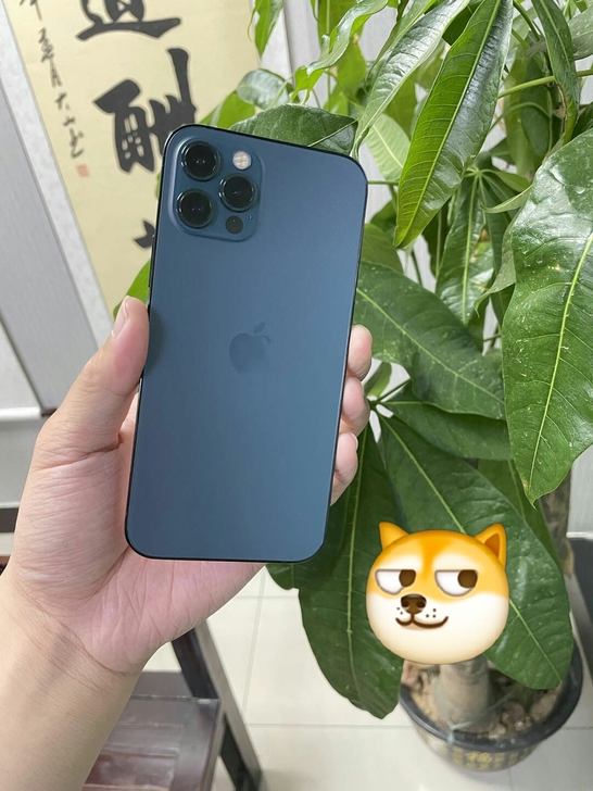 一手自用苹果12pro，iphone12p...