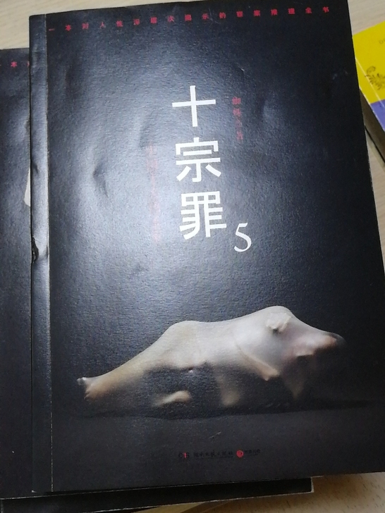 十宗罪这个系列的探案小说有好几本，看完特转...