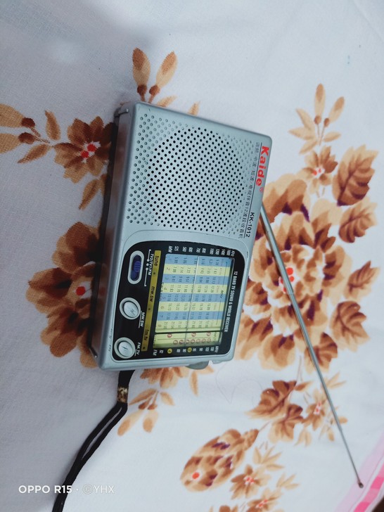 凯迪Kaide_1012收音机