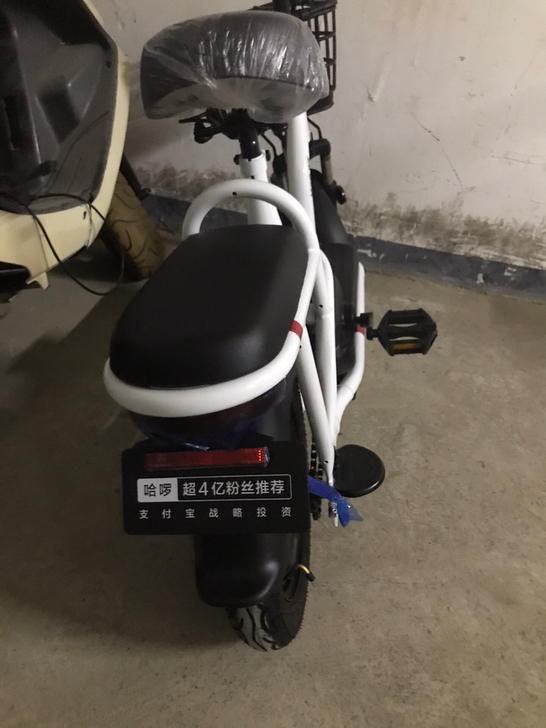 全新电动车一次未骑，郑州市内自提，一次未充电