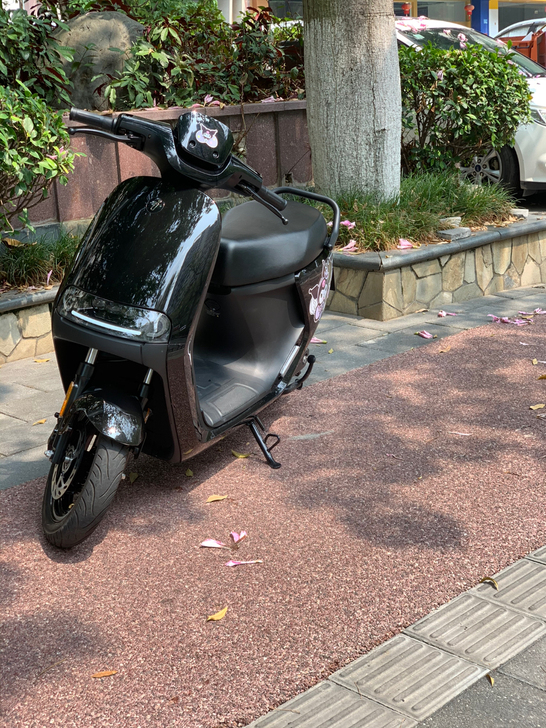 出九号E80c，侄女的车。买了一个月