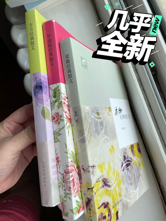 毕淑敏 方方 梁衡经典散文，几乎全新