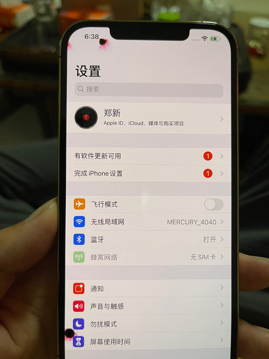 iPhone 12 Pro Max 在保(...