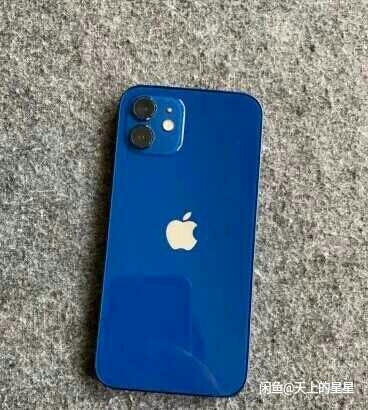 自己用的苹果    12  蓝色   12...