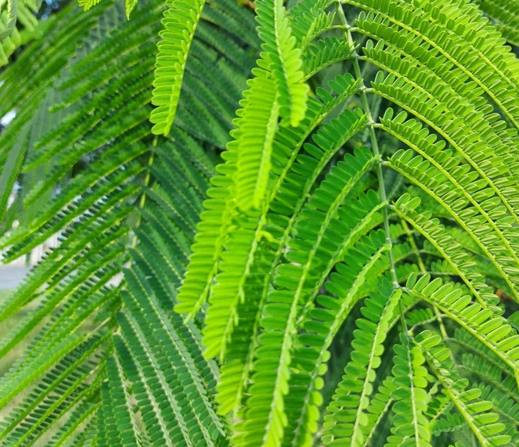 2022 二建市政 实务强化 1360原价...