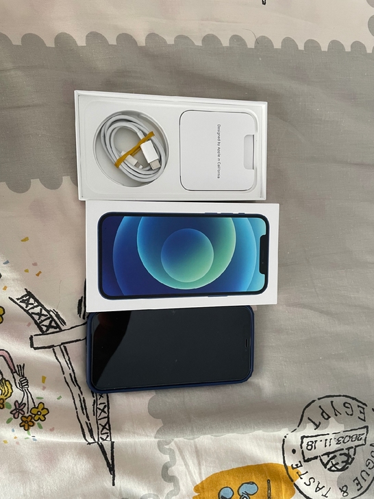 苹果12 256g 蓝色 在保修全套