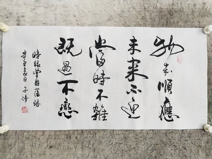 书法作品：物来顺应未来不迎，当时不杂既过不恋