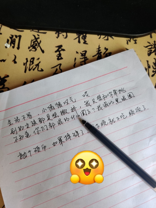 代抄笔记、情书，资料、 歌词、名言等  长...