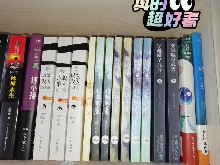 【耽美,悬疑,惊悚,犯罪,东野圭吾,文学】