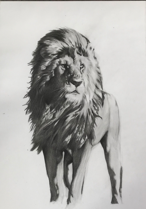 本人可定制接单各类风格题材素描作品，优质优...