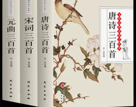 正版 唐诗三百首宋词元曲三百首全集注释 初...