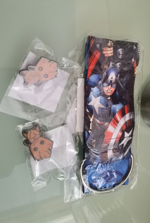 迪士尼投球中的