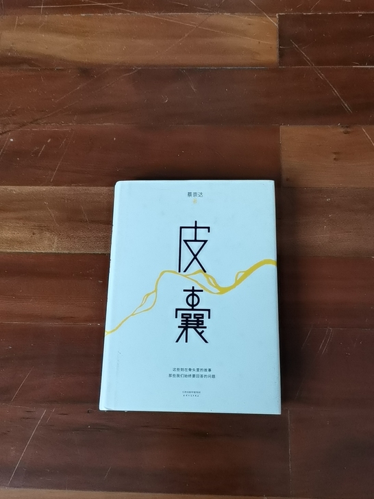 皮囊 蔡崇达著 文学 随笔 全新未拆封 包邮