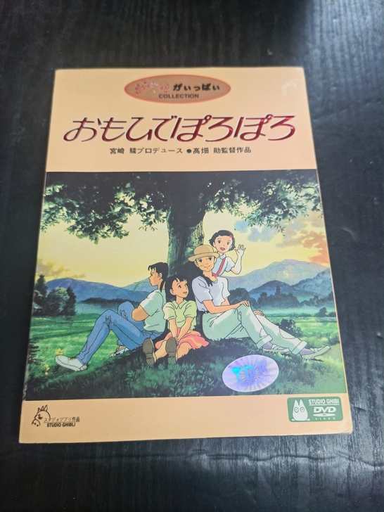 宫崎骏 儿时的点点滴滴（岁月的童话） DV...