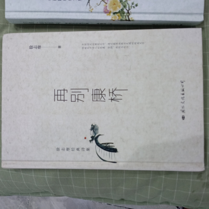 林徽因徐志摩书籍