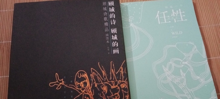 此书几乎全新,是一部诗集,非常不错,是正版...