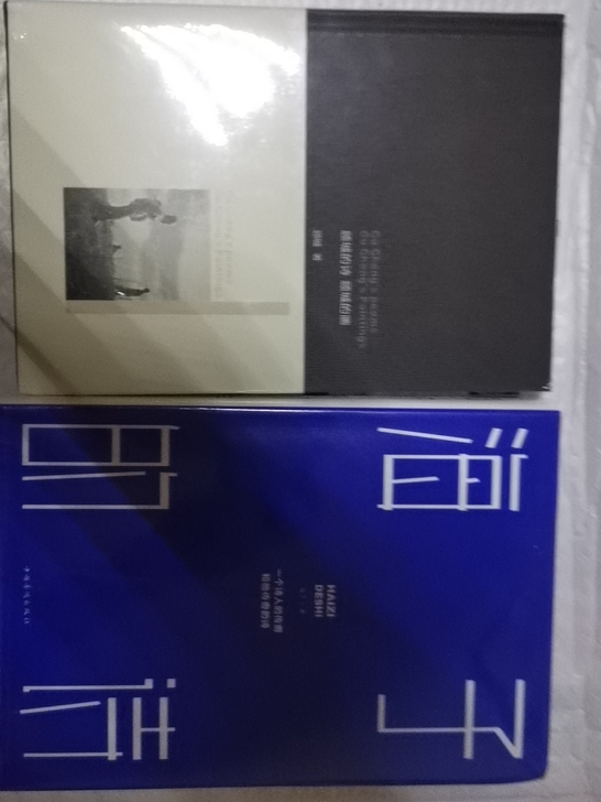 顾城和海子的诗集外加一本《你最喜欢谁》共三...