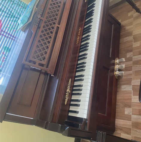 家庭自用钢琴，仅自提，地点河源市源城区 感...