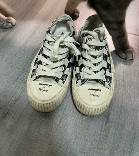 飞跃feiyue和 warrior回力联名...