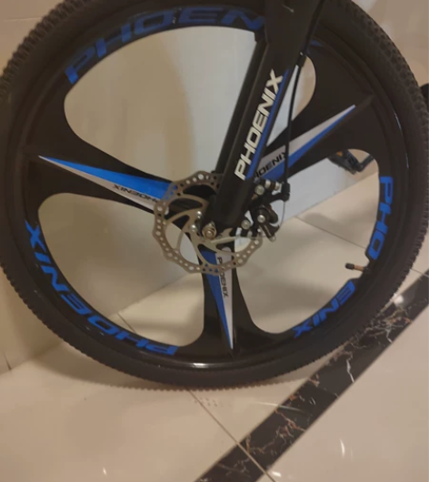 凤凰（Phoenix）折叠车男女式前后双减...