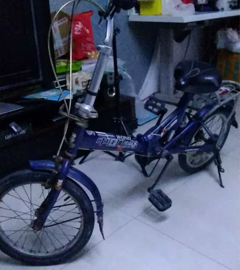 飞鸽折叠自行车 感兴趣的话点“我想要”和我...