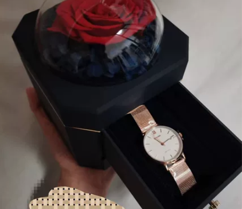 Rarone雷诺心跳手表 石英表女正品 浪...