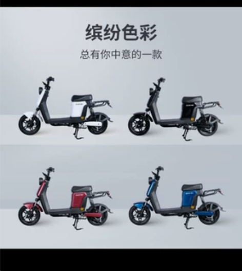 电动车  型号是哈啰棒途E3 上了绿牌，骑...