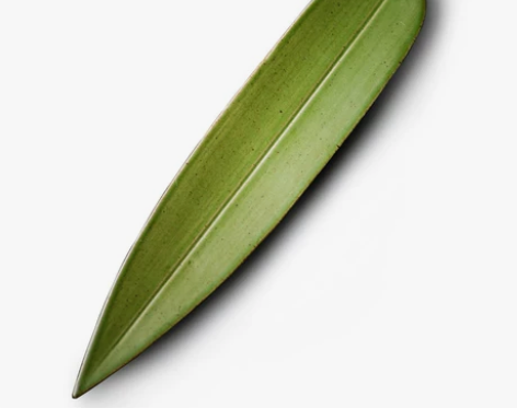 景德镇手作陶瓷竹叶香插线香炉香板 日式熏香...