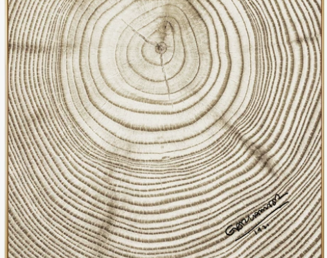 百年孤独 北欧现代简约大树年轮木纹抽象装饰...