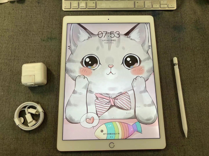 【闲置自用便宜出】2019款  ipad ...