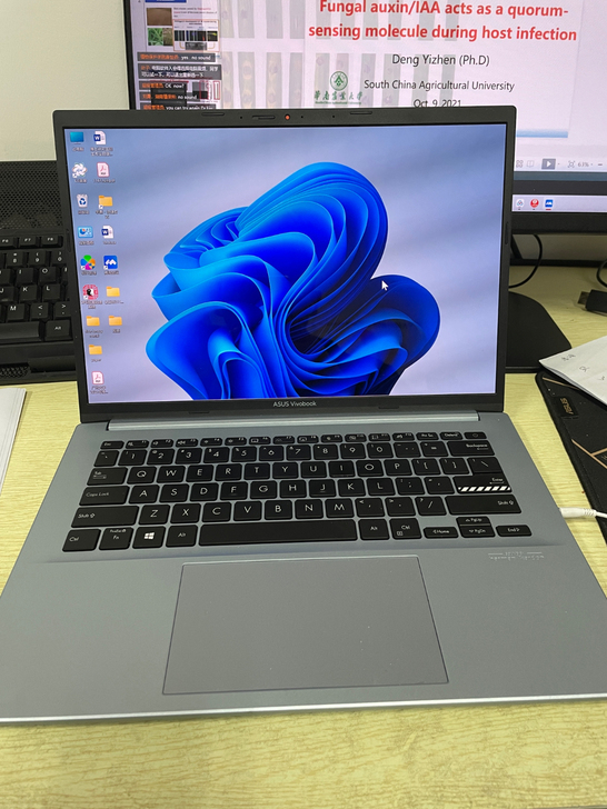 华硕无畏Pro14 锐龙R7-5800H ...