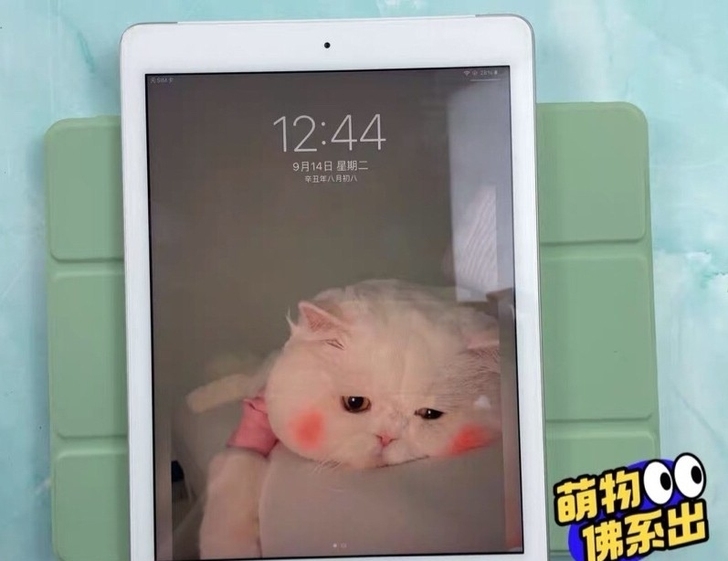 iPad7代  2019款自用，128G，...